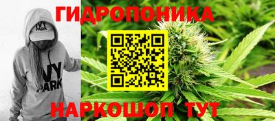 jwh Будённовск