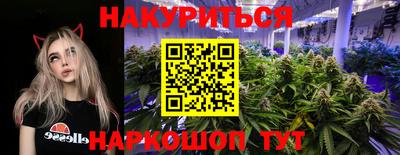 гашик Бузулук