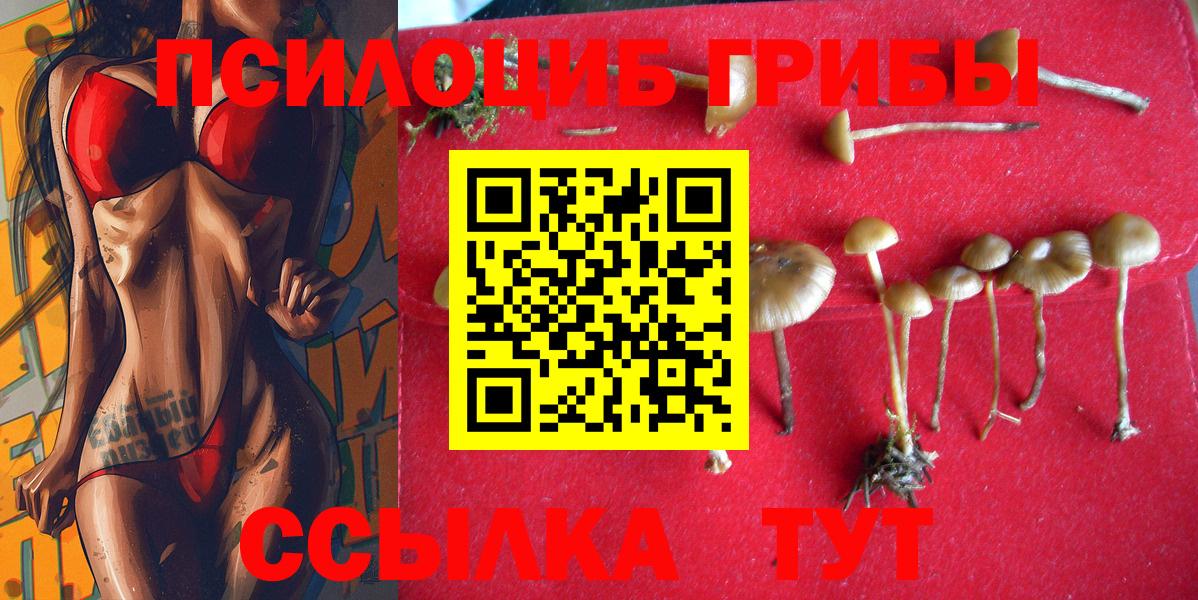 Псилоцибиновые грибы Psilocybine cubensis  Псилоцибиновые грибы Magic Shrooms  Майский  Вход с VPN 