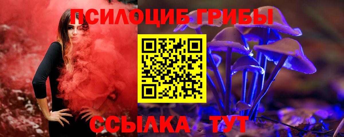 Галлюциногенные грибы GOLDEN TEACHER Майский